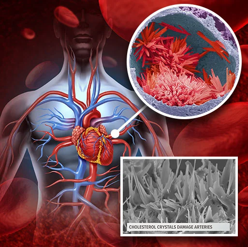 BloodPril BloodPril circulatory health supplement